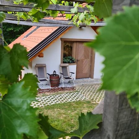 돌레니스케토플리체 Zidanica Zagar 빌라 외부 사진